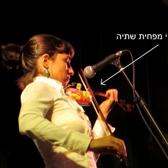 הצגת ילדים קומפוסטה 09